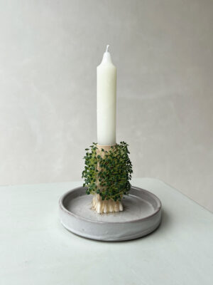 Plant kandelaar - Growth white