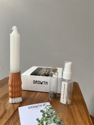 Plant kandelaar - Growth terra