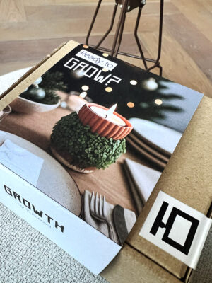 Plant kandelaar - Kerst editie