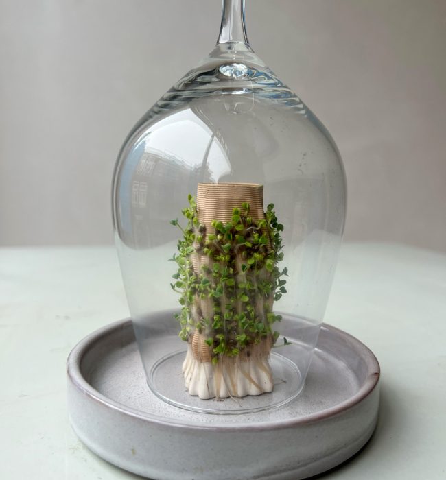 Growth bio kandelaar laat chipzaad groeien 3d keramiek "Dutch sample room"