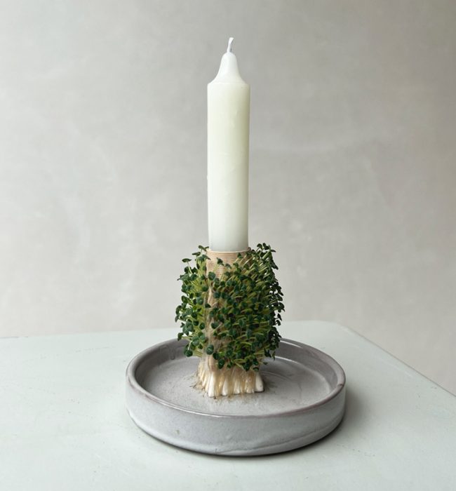 Growth bio kandelaar laat chipzaad groeien 3d keramiek "Dutch sample room"