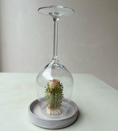 Growth_3