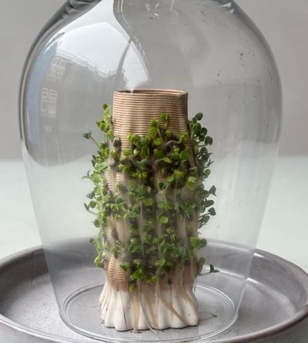 Growth_4